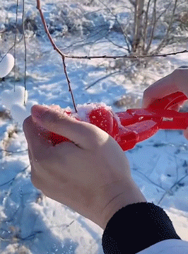 Pince à boules de neige d'hiver (8 pièces)
